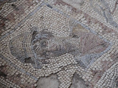 מוזיאון עין יעל